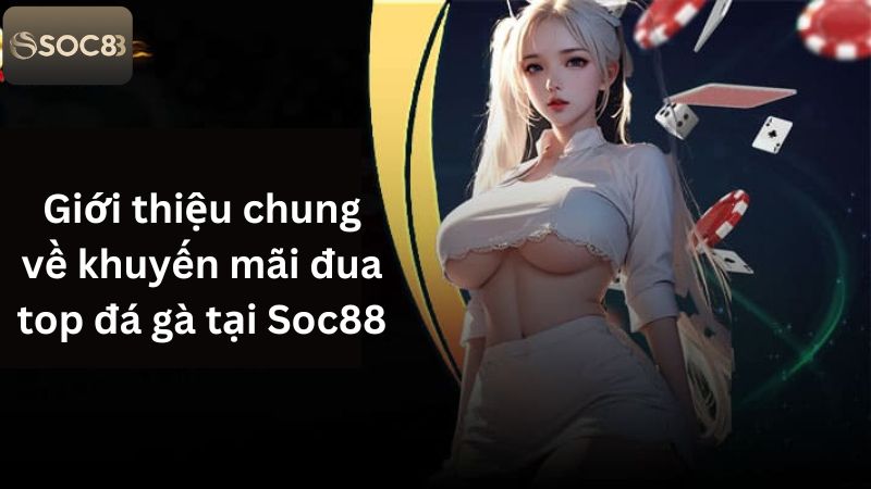 Thông tin chung về ưu đãi đua top tại sảnh chọi kê Soc88