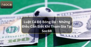 Luật Cá Độ Bóng Đá - Những Điều Cần Biết Khi Tham Gia Tại Soc88