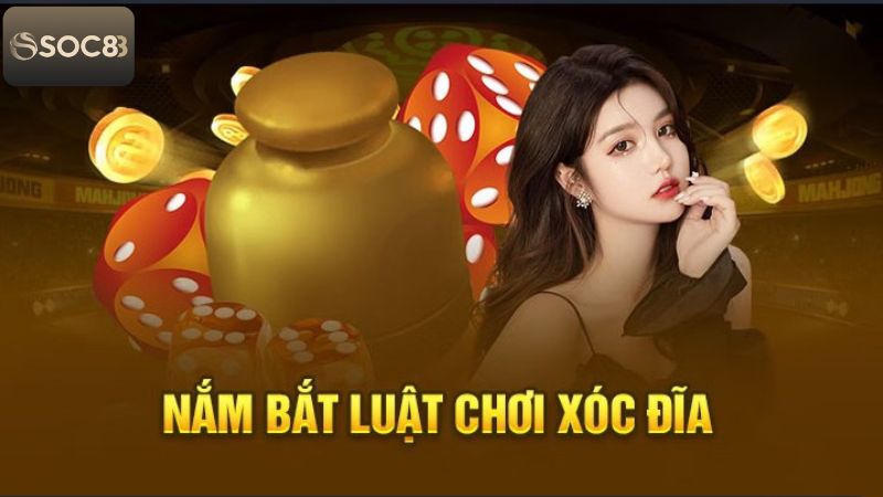 Luật Chơi Xóc Đĩa Soc88 - Phá Đảo Trò Chơi, Thu Về Tiền Tỷ 3 Luật chơi Xóc đĩa - Quy trình diễn ra ván cược
