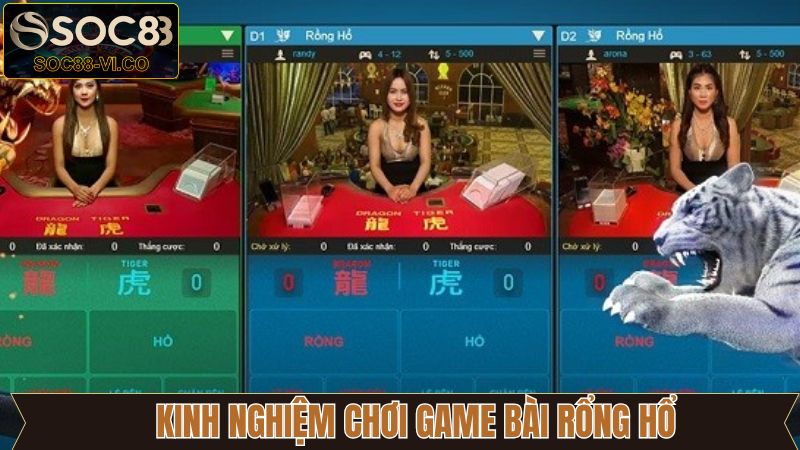 Rồng Hổ - Trò Chơi Đỉnh Cao Khi Tham Gia Casino SOC88 4 Bí kíp đặt cược Dragon Tiger từ cao thủ