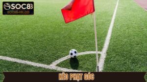 Kèo Phạt Góc - Cách Đọc Tỷ Lệ Cược Chi Tiết Cho Newbie