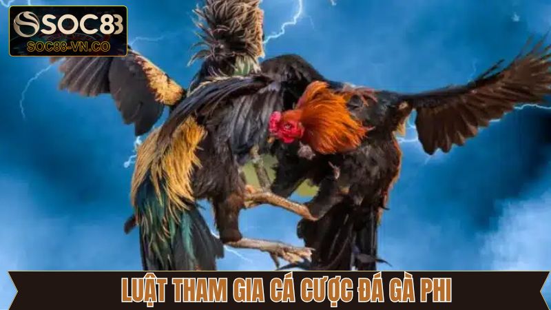 Đá Gà Phi: Cách Tham Gia Cá Cược An Toàn Tại Soc88 3 Những nguyên tắc cơ bản cần nắm khi tham gia đá gà Phi