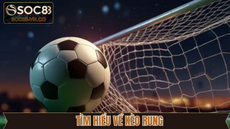 Kèo Rung - Hướng Dẫn Bắt Cược Chuẩn Xác Tại Soc88 2 Thông tin khái niệm kèo rung bóng đá