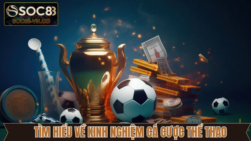 Tổng quan về kinh nghiệm cá cược thể thao